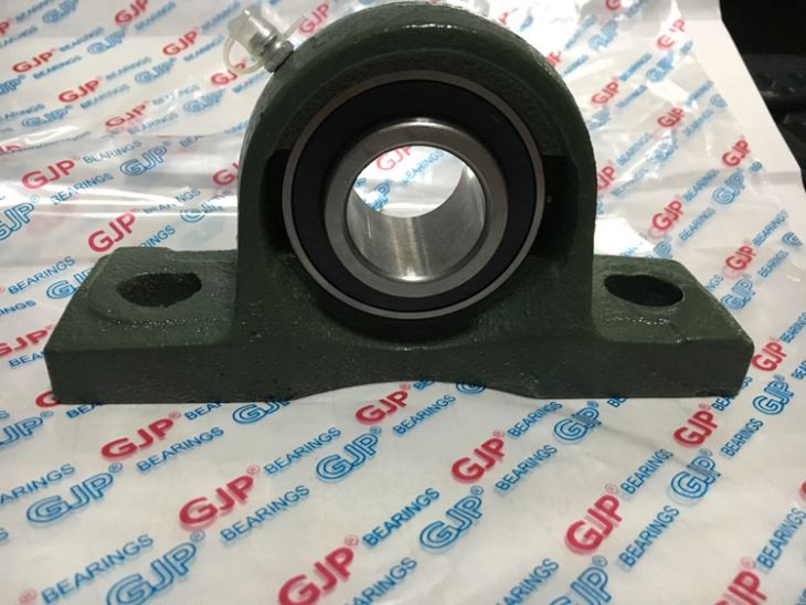 2 Bolt Pillow Block Bearing