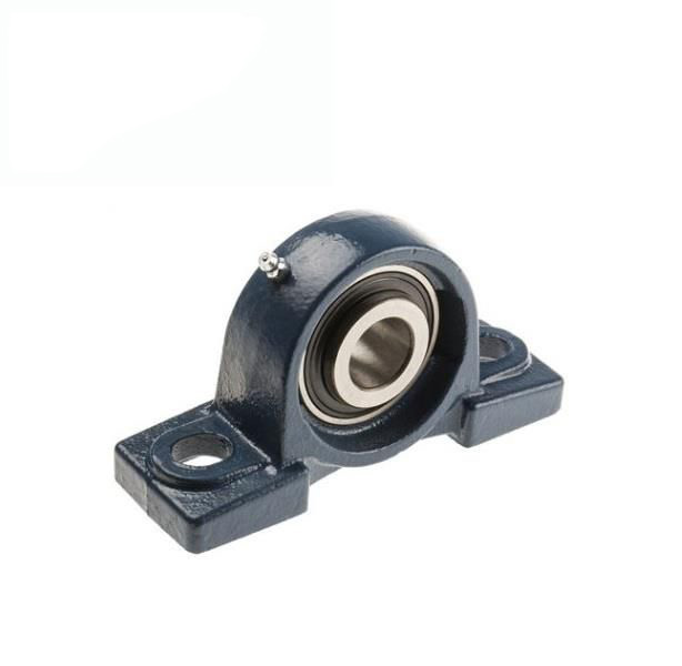 stainless steel flange bearings